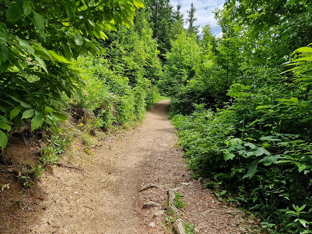 Slika je vidna v Google Chromu.