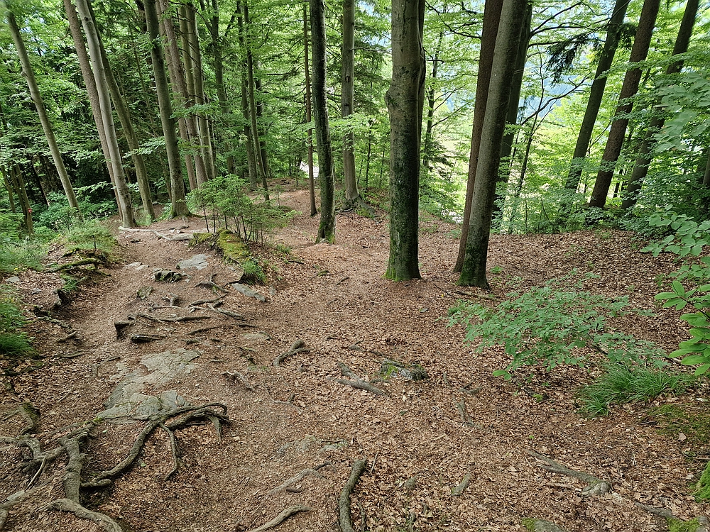 Slika je vidna v Google Chromu.