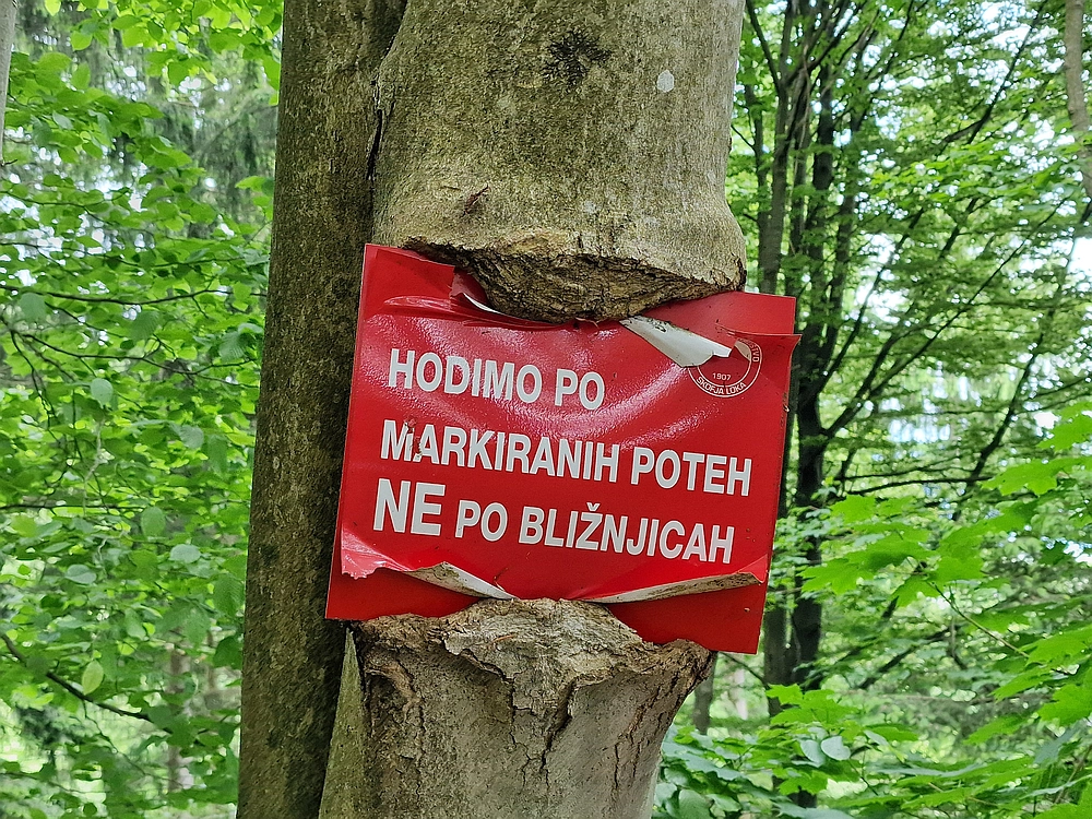 Slika je vidna v Google Chromu.