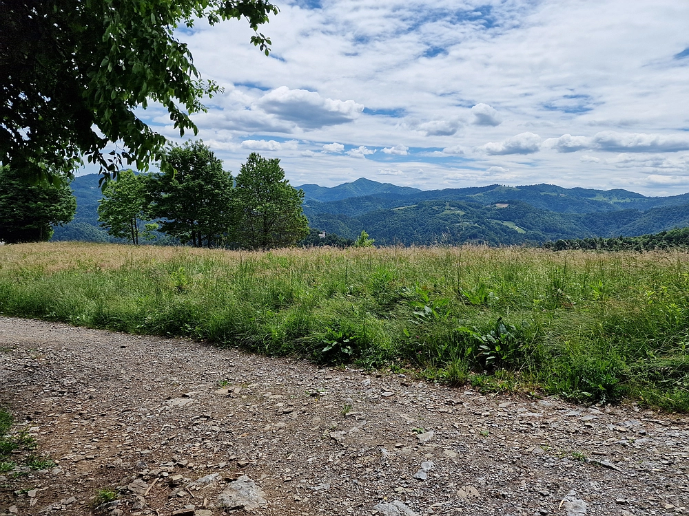 Slika je vidna v Google Chromu.