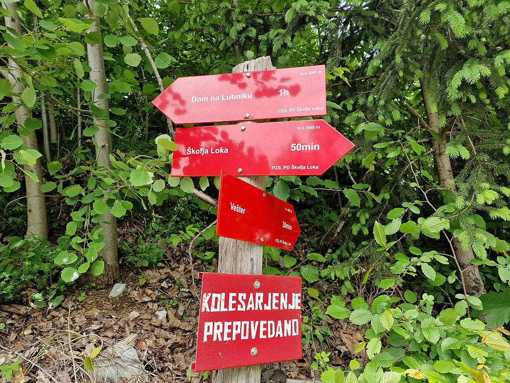 Slika je vidna v Google Chromu.