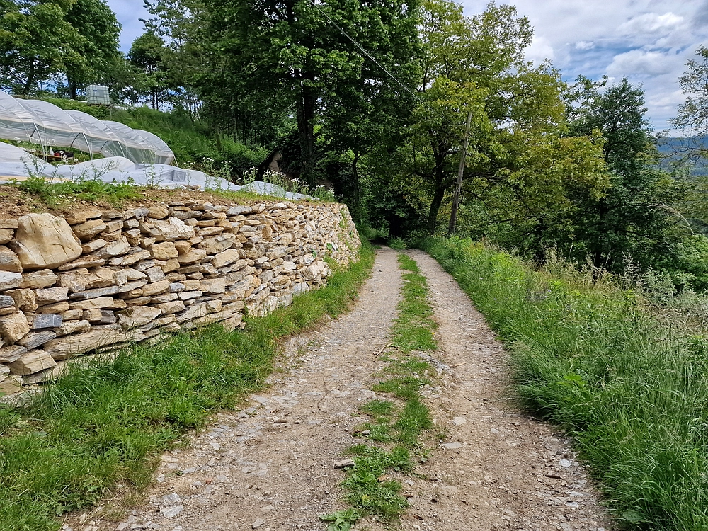 Slika je vidna v Google Chromu.