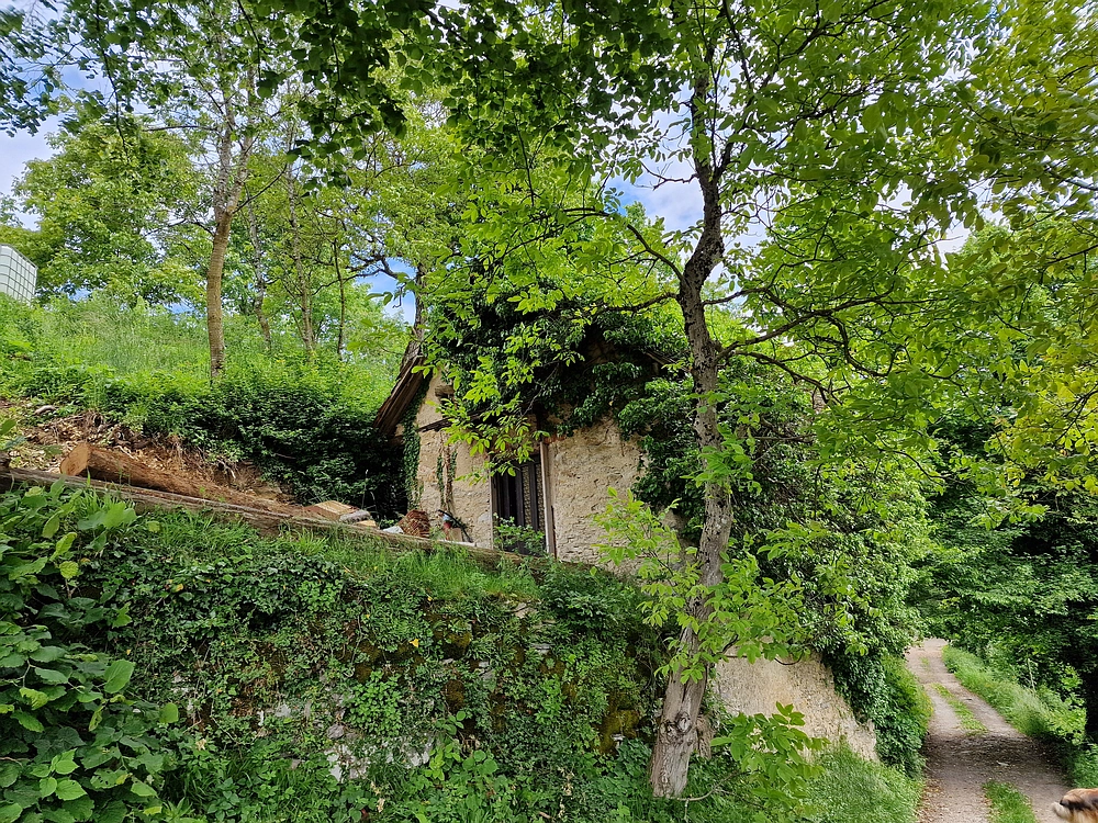 Slika je vidna v Google Chromu.