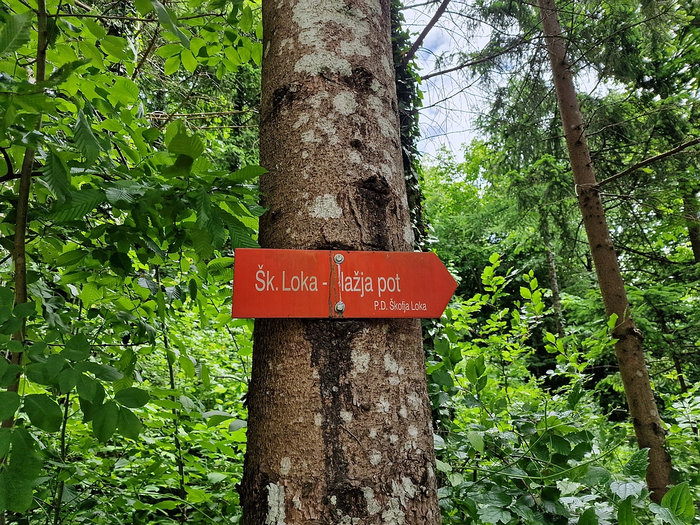 Slika je vidna v Google Chromu.