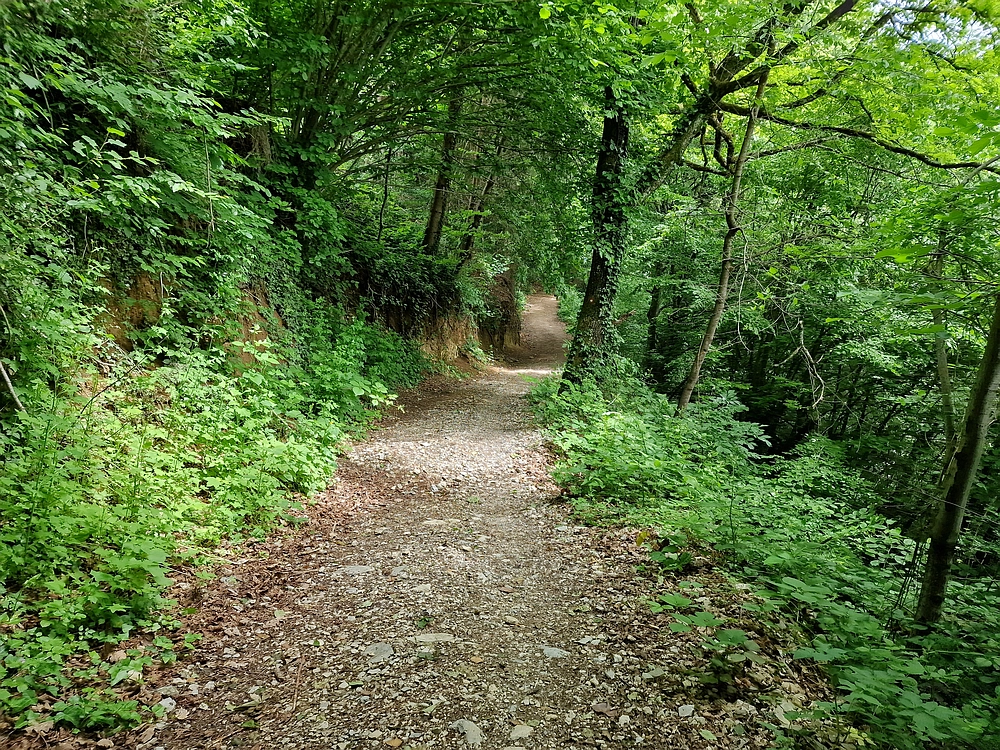 Slika je vidna v Google Chromu.