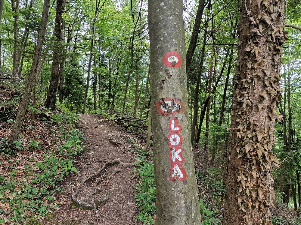 Slika je vidna v Google Chromu.