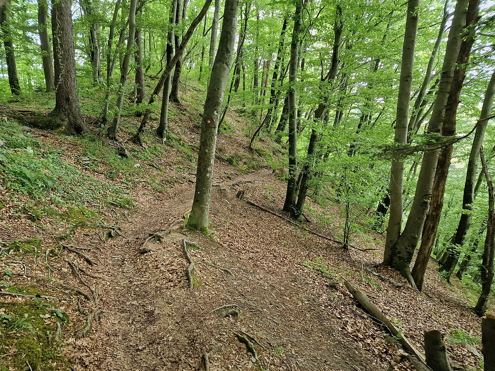 Slika je vidna v Google Chromu.