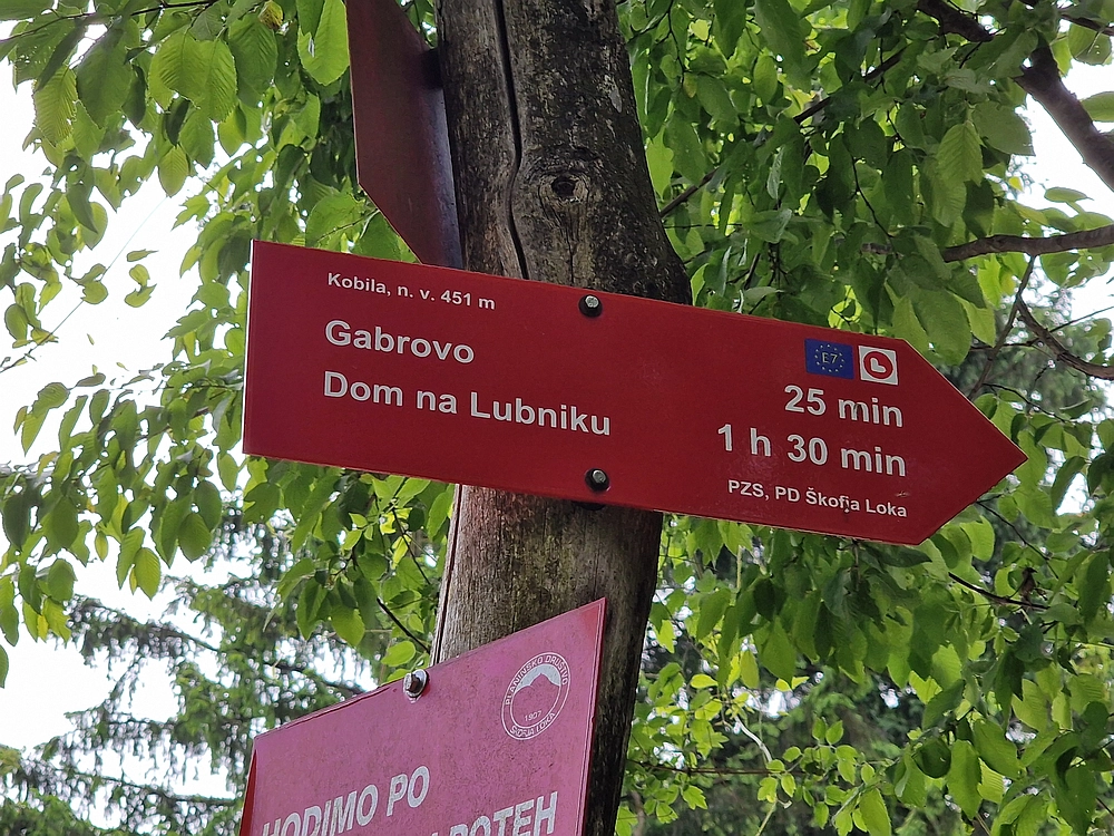 Slika je vidna v Google Chromu.