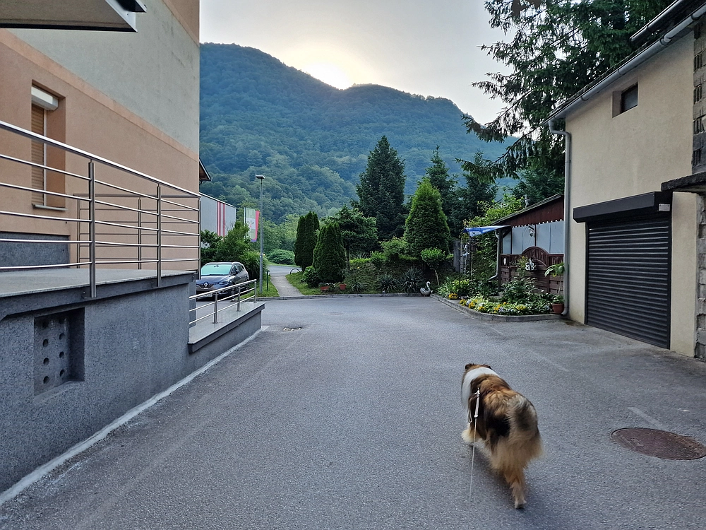 Slika je vidna v Google Chromu.