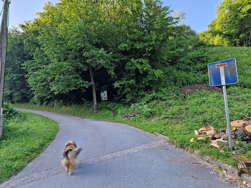 Slika je vidna v Google Chromu.