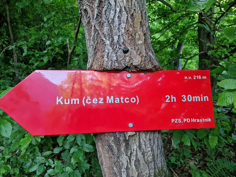 Slika je vidna v Google Chromu.