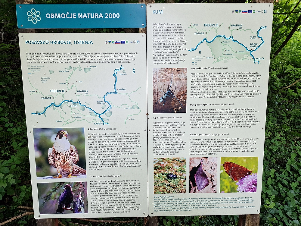 Slika je vidna v Google Chromu.