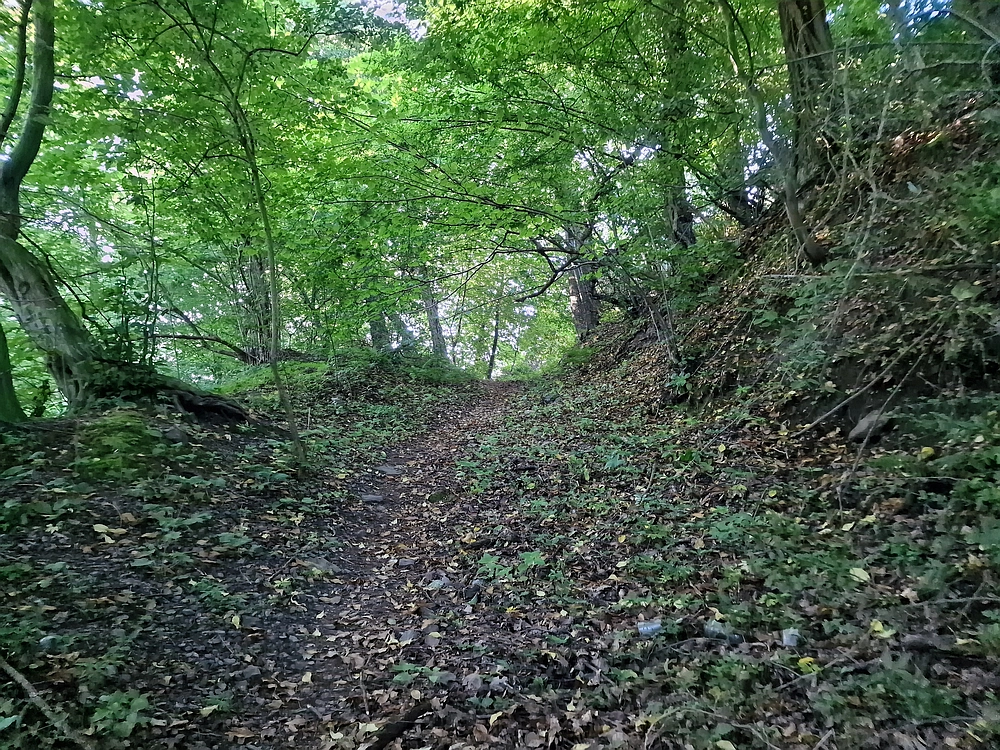 Slika je vidna v Google Chromu.