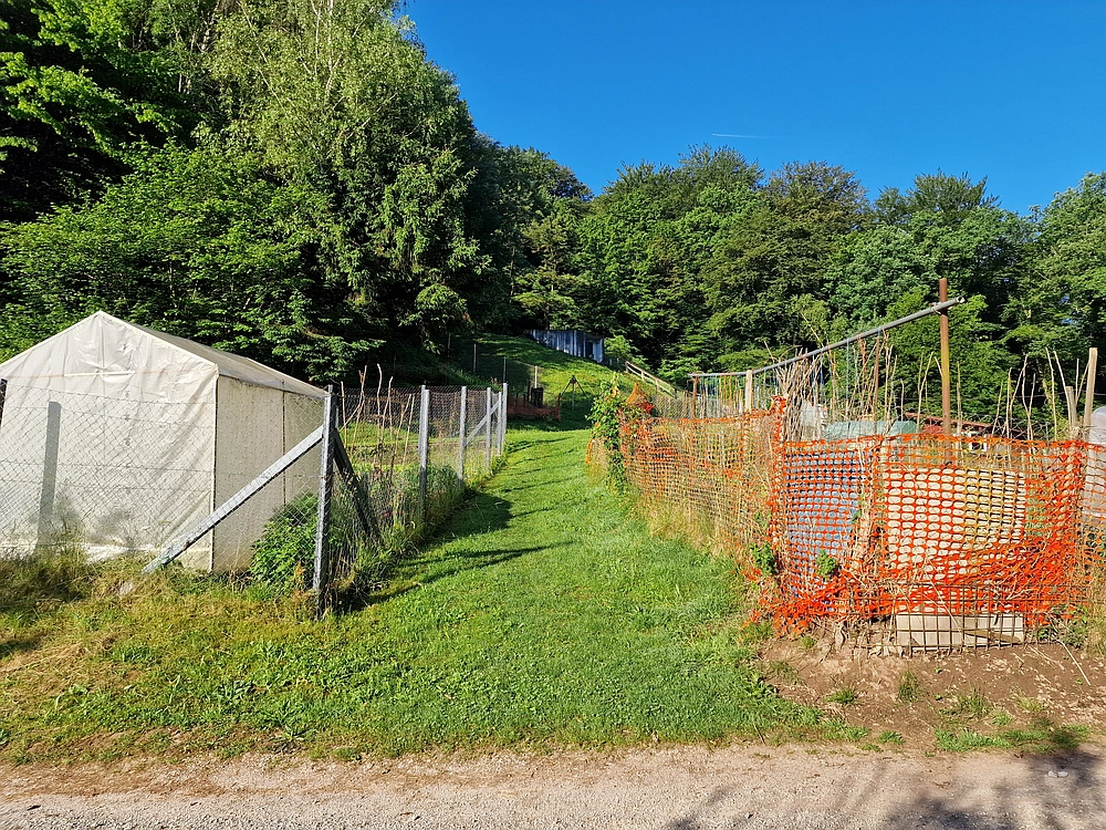 Slika je vidna v Google Chromu.