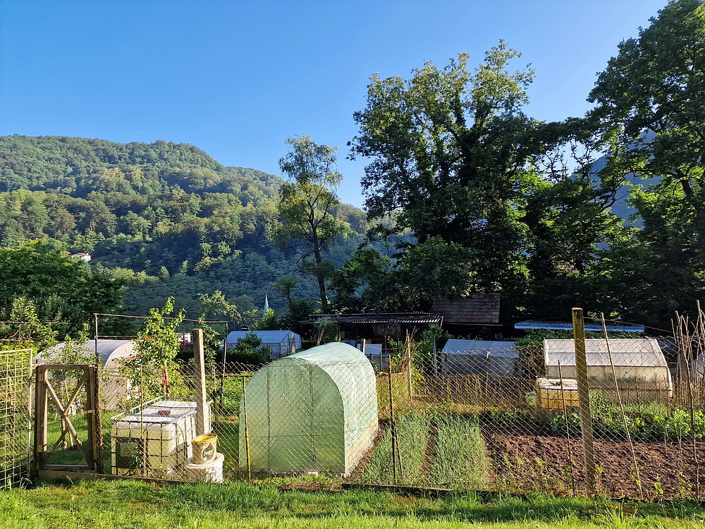 Slika je vidna v Google Chromu.