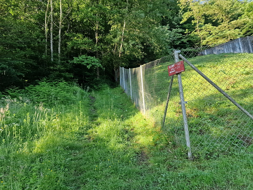 Slika je vidna v Google Chromu.