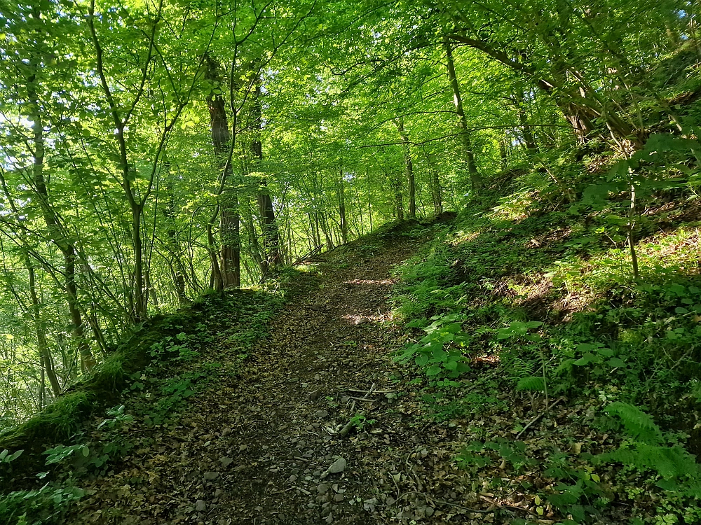 Slika je vidna v Google Chromu.
