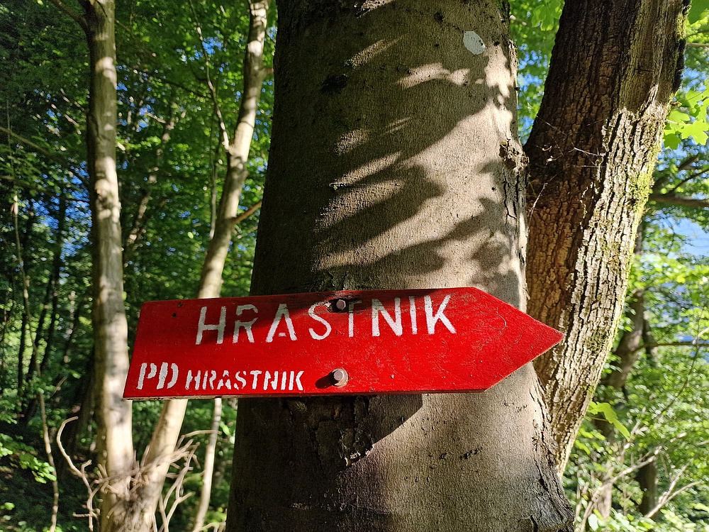 Slika je vidna v Google Chromu.