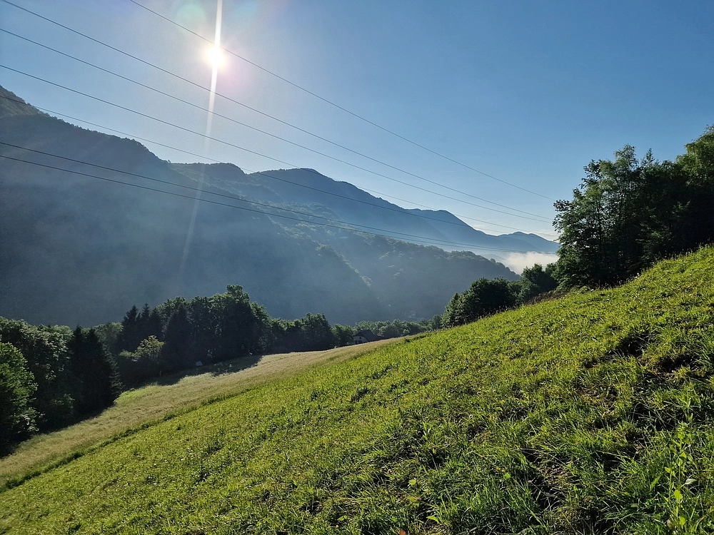 Slika je vidna v Google Chromu.