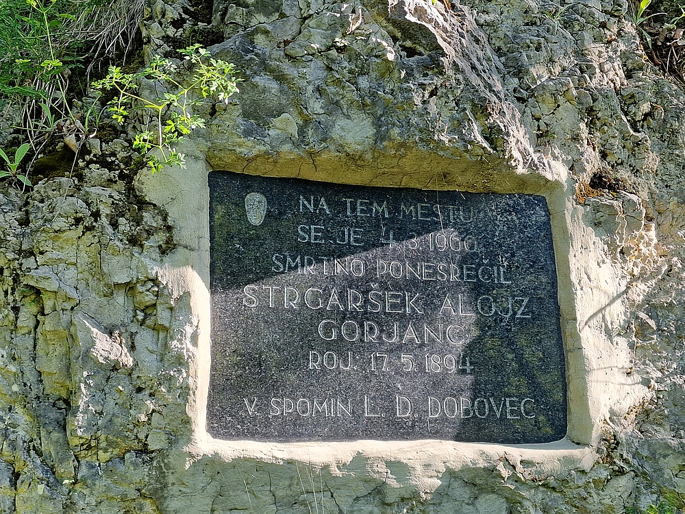 Slika je vidna v Google Chromu.