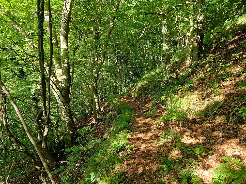 Slika je vidna v Google Chromu.