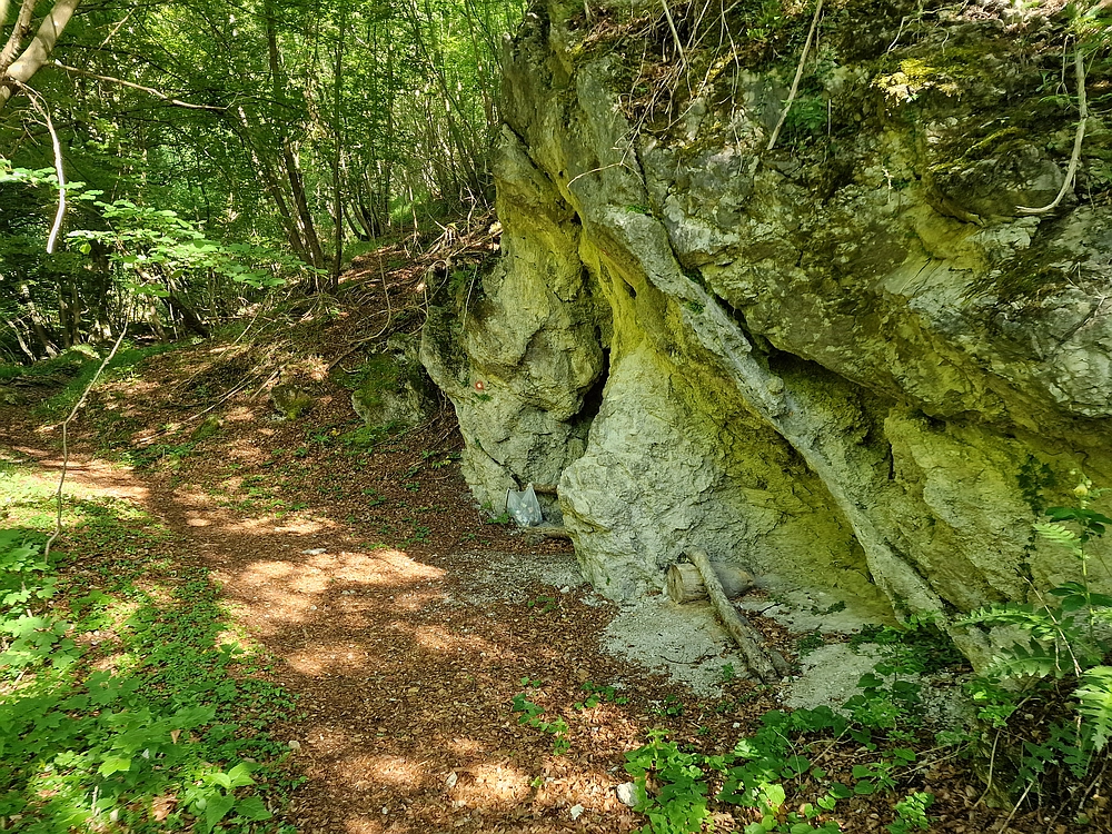 Slika je vidna v Google Chromu.