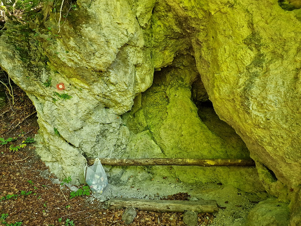 Slika je vidna v Google Chromu.