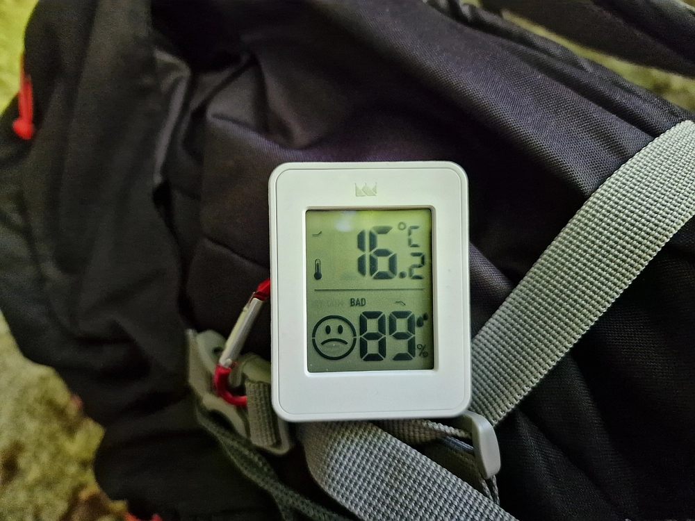 Slika je vidna v Google Chromu.