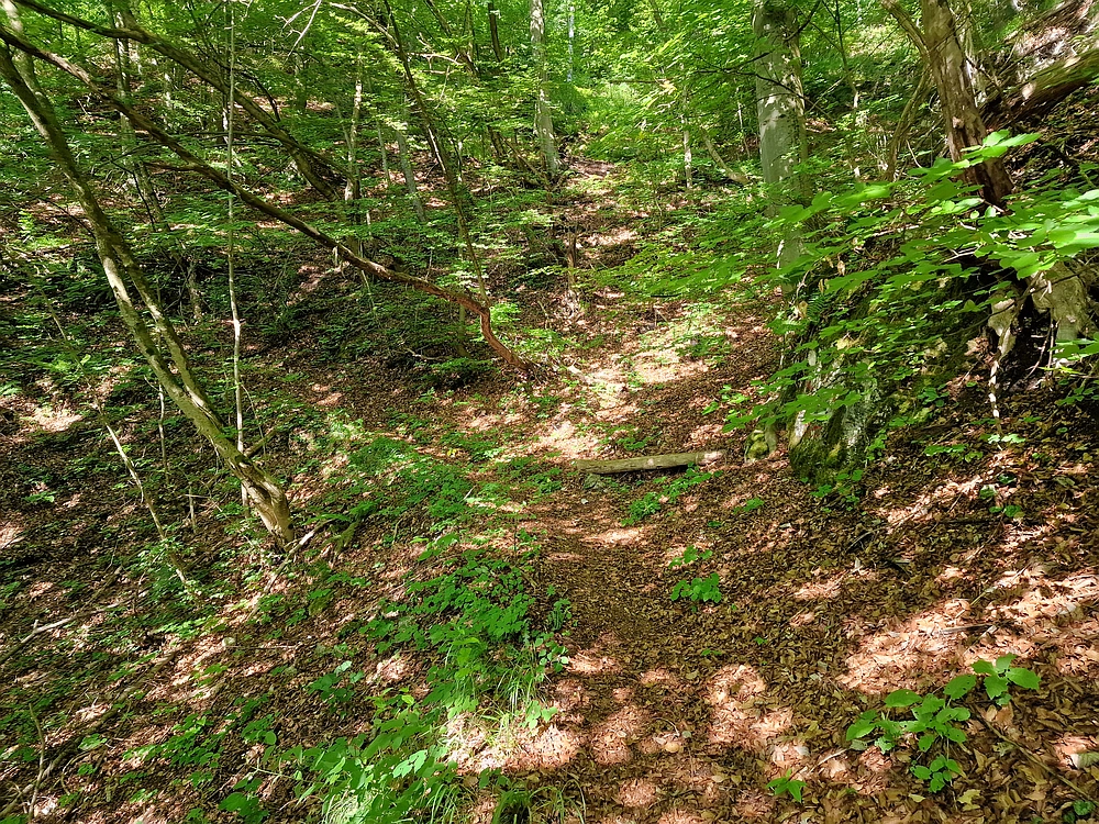 Slika je vidna v Google Chromu.