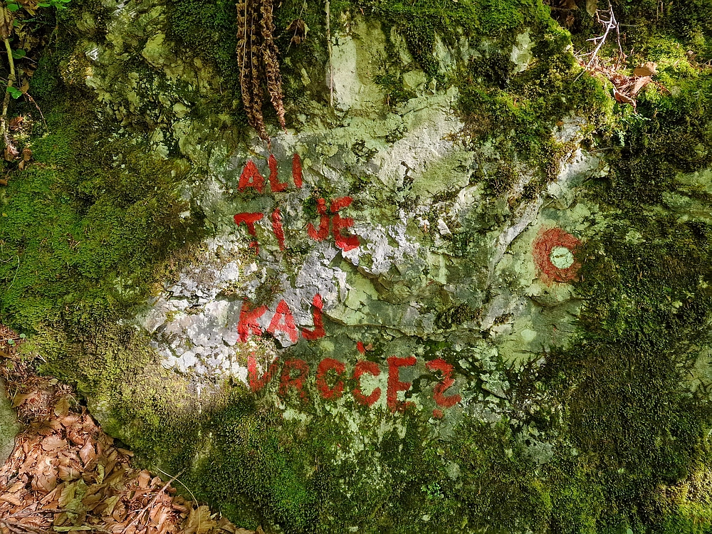 Slika je vidna v Google Chromu.