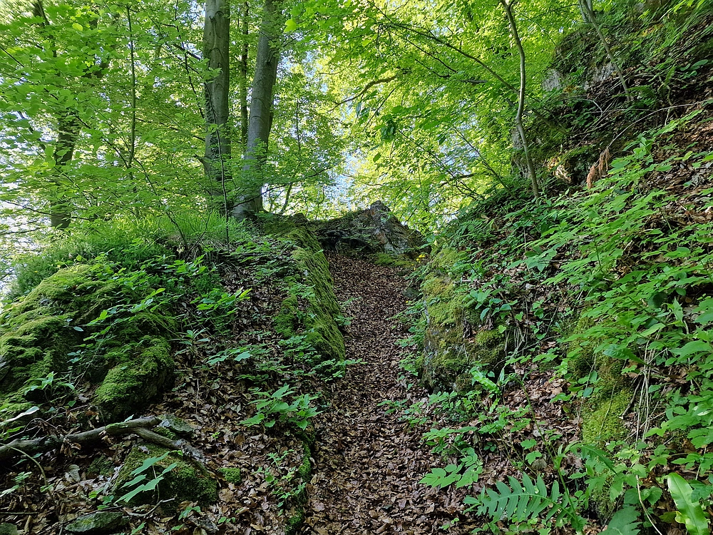 Slika je vidna v Google Chromu.