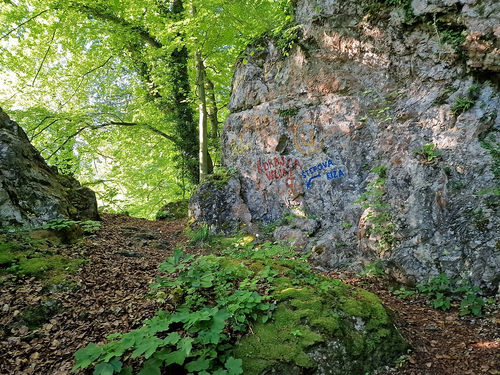 Slika je vidna v Google Chromu.