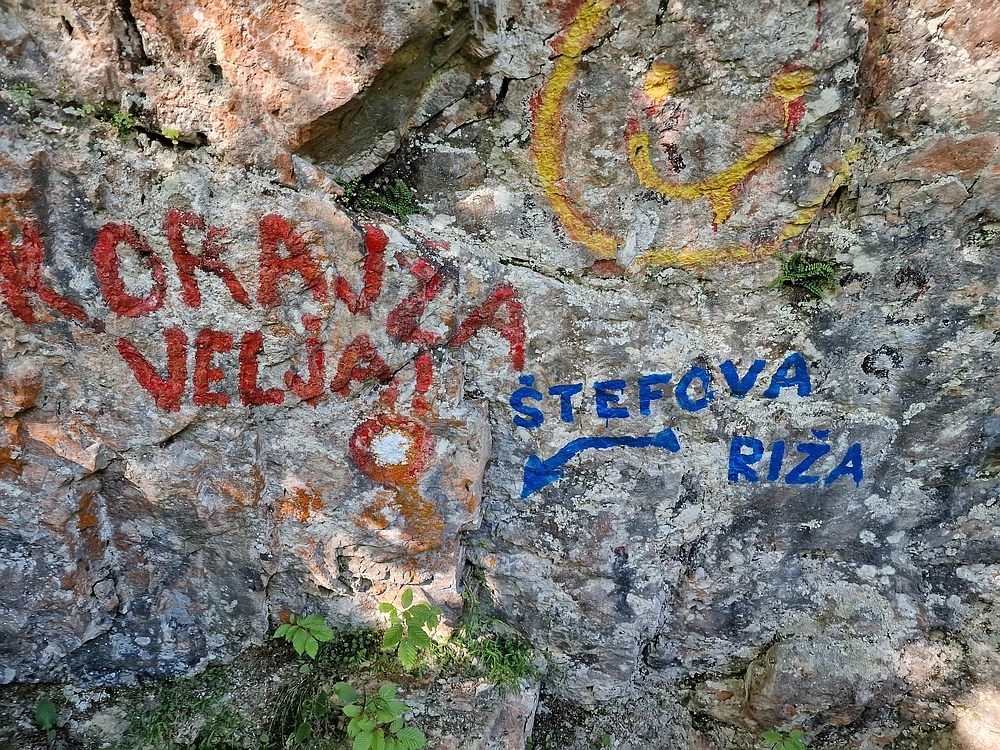 Slika je vidna v Google Chromu.