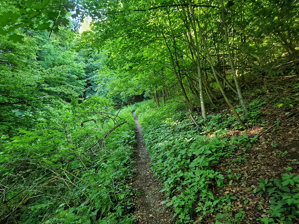 Slika je vidna v Google Chromu.