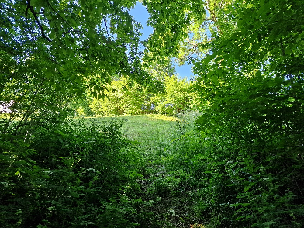 Slika je vidna v Google Chromu.