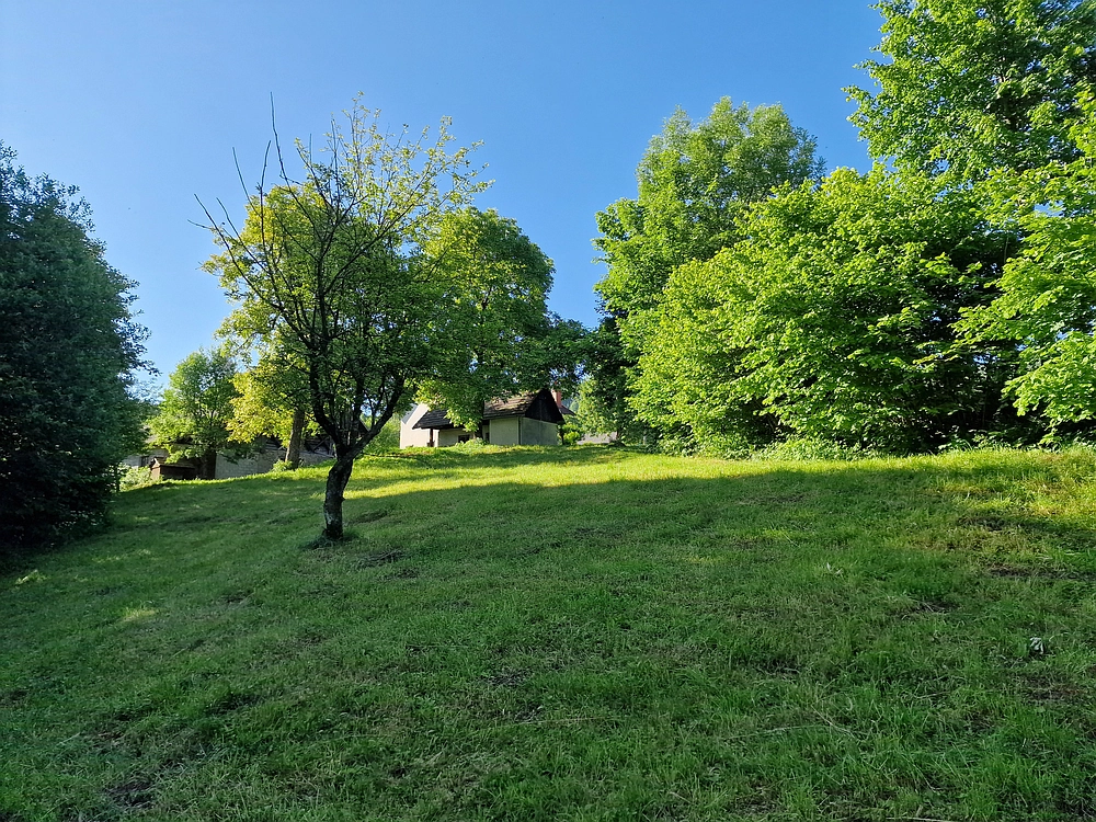 Slika je vidna v Google Chromu.