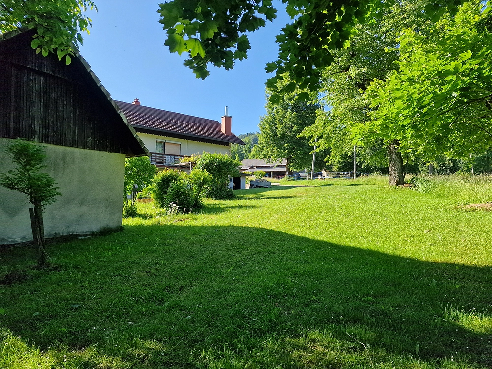 Slika je vidna v Google Chromu.