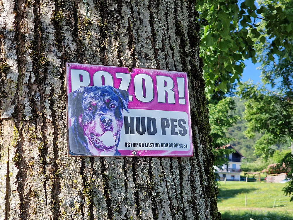 Slika je vidna v Google Chromu.