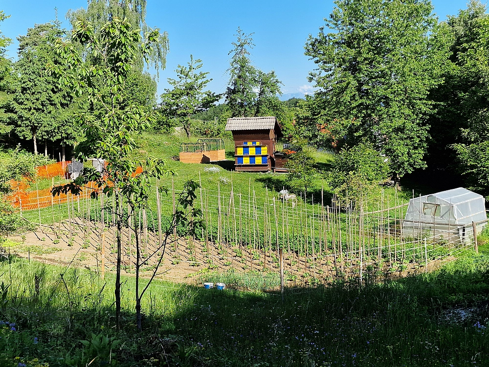 Slika je vidna v Google Chromu.