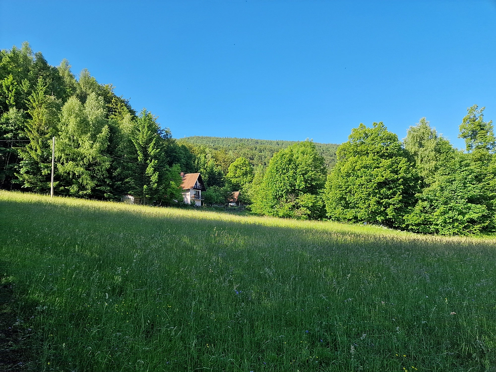 Slika je vidna v Google Chromu.