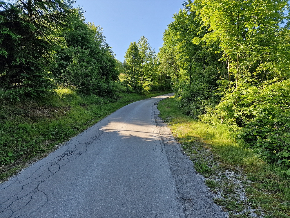 Slika je vidna v Google Chromu.