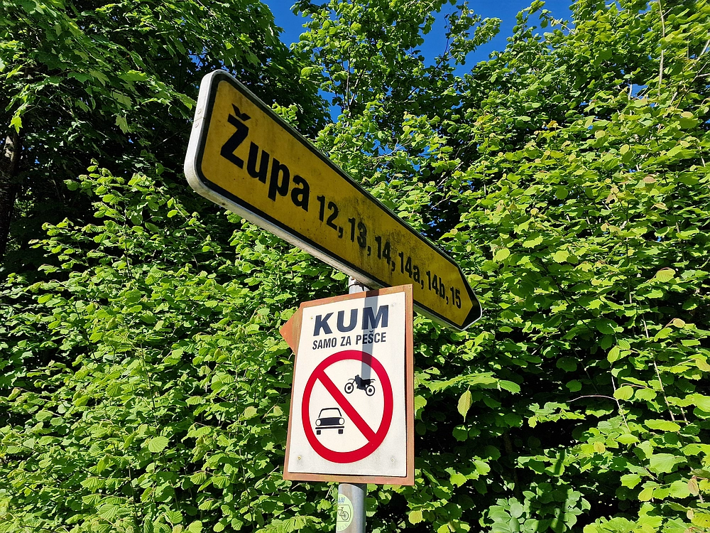 Slika je vidna v Google Chromu.