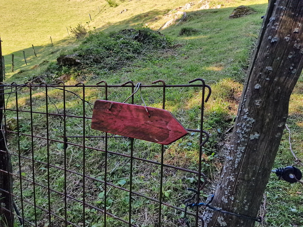 Slika je vidna v Google Chromu.