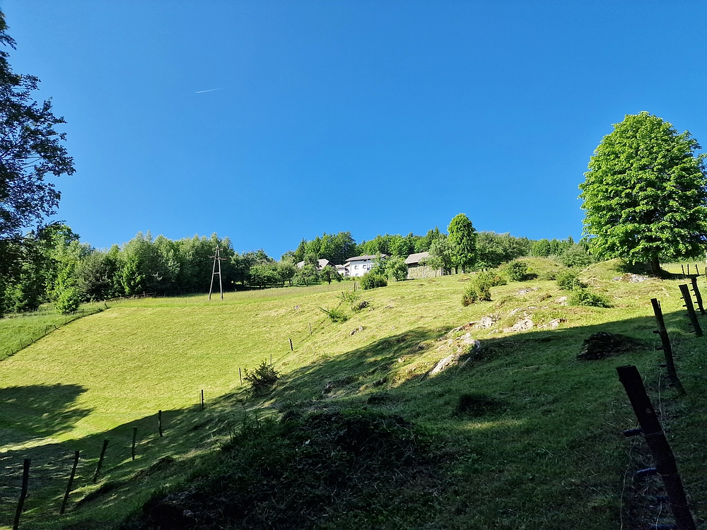Slika je vidna v Google Chromu.