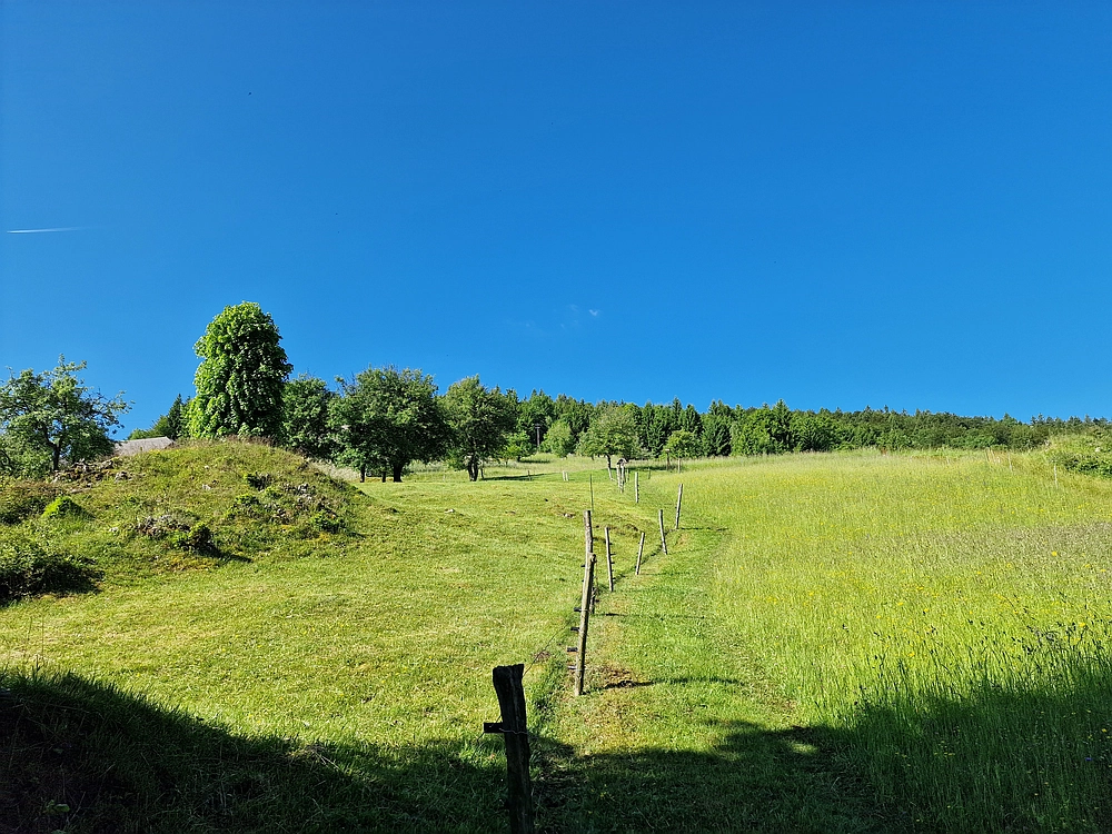 Slika je vidna v Google Chromu.
