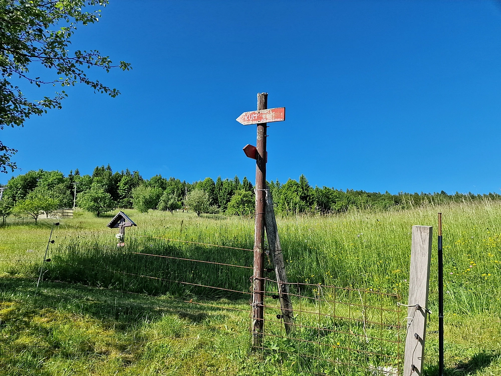 Slika je vidna v Google Chromu.