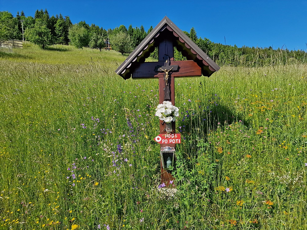 Slika je vidna v Google Chromu.