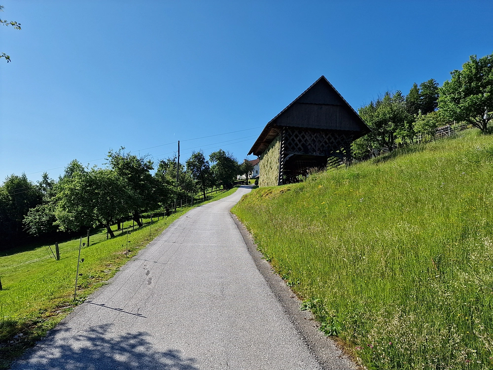 Slika je vidna v Google Chromu.