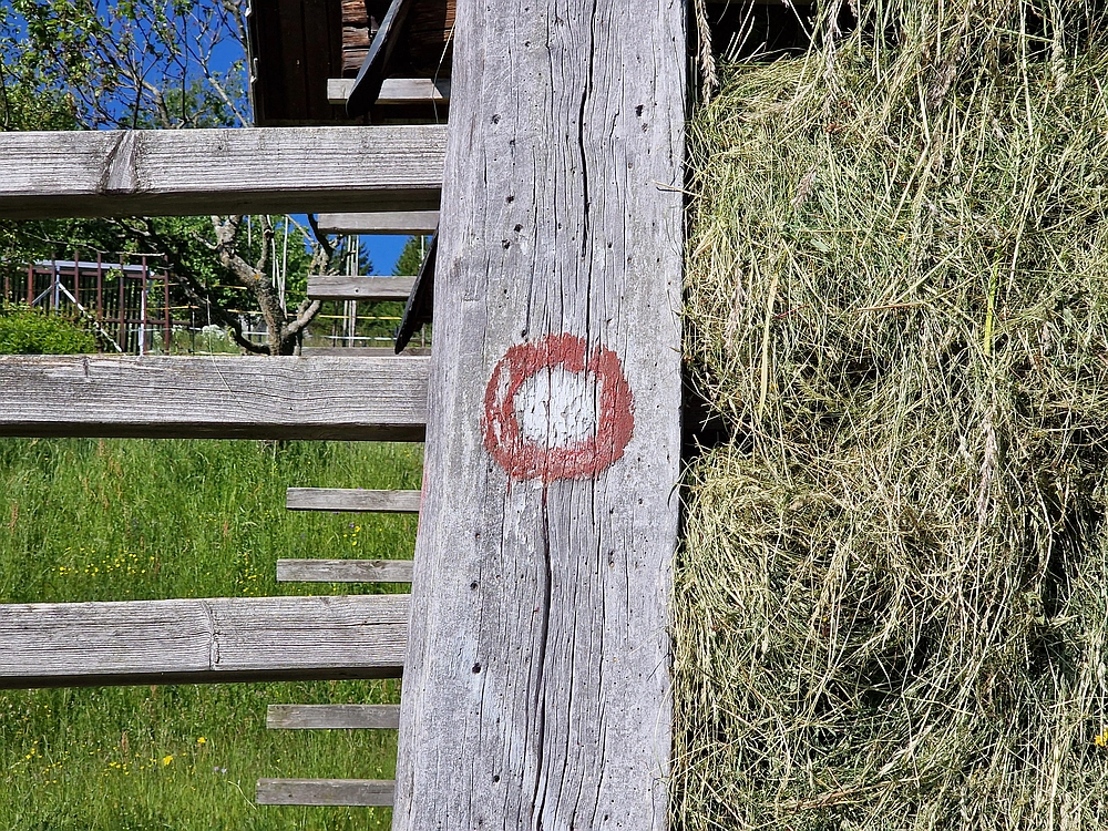 Slika je vidna v Google Chromu.