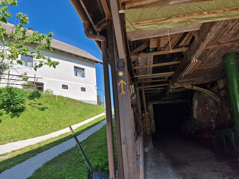 Slika je vidna v Google Chromu.